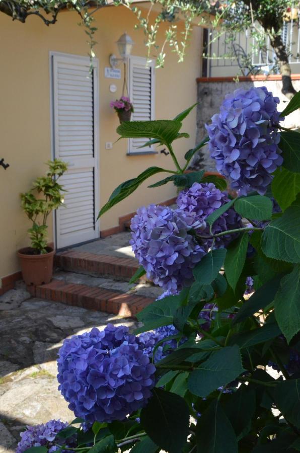Maison Brinati Bed And Breakfast Monsummano Terme Extérieur photo